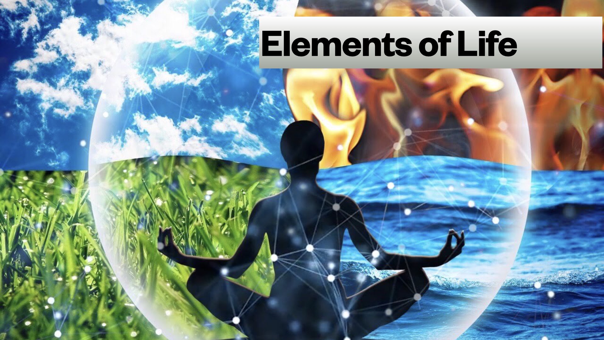 Element Focusing